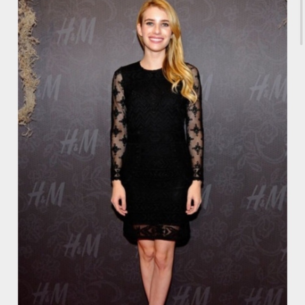 H&M Isabel Marant Lace Embroidered Dress Size 6